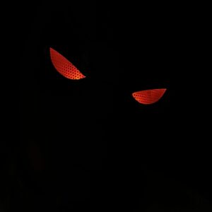 Spider Man Mask / RED - Full Options